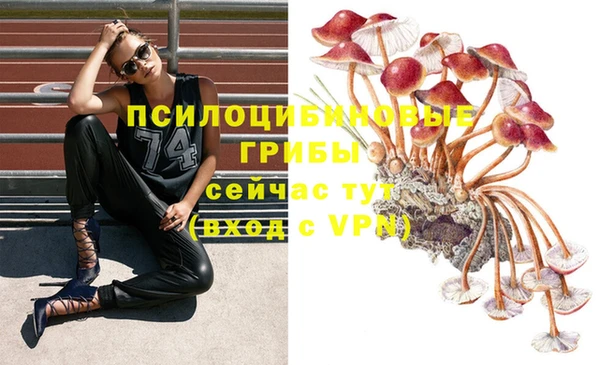 индика Алексин