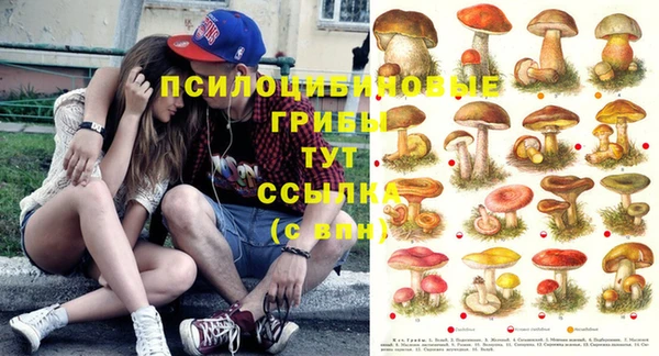 мет Абаза